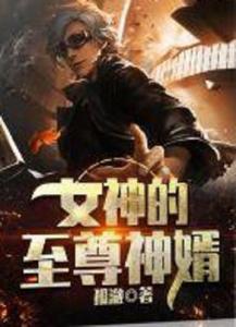 至尊神婿归来,风云再起，传奇再现